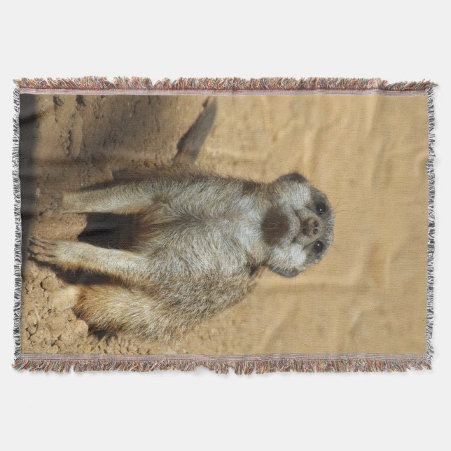 Cobertor Meerkat 031 (Frente)