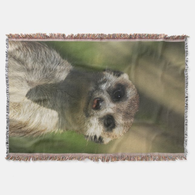 Cobertor Meerkat 034 (Frente)