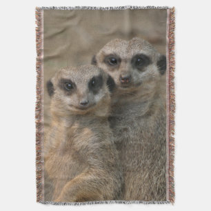 Cobertor Meerkat 067