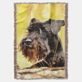 Cobertor Miniatura-schnauzer