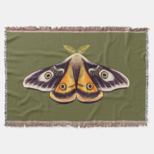 Cobertor Moth Insect Art Goblincore Saturnia Witchy Green