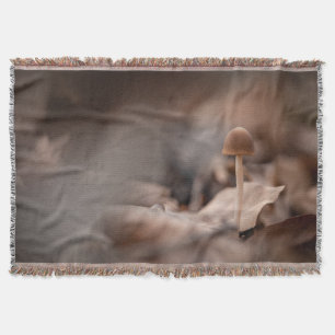 Cobertor Mushroom Nature Photo