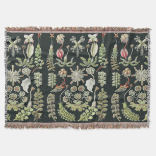 Cobertor Natureza Científica Arte Ernst Haeckel Hepáticas