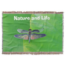 Natureza verde e libélula viva