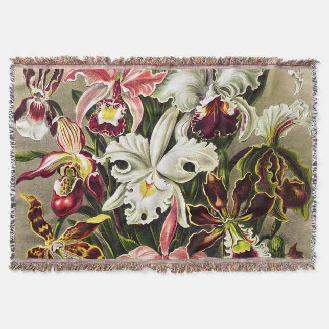 Cobertor Orquídeas, Orquídeas Denusblumen Ernst Haeckel (Frente)