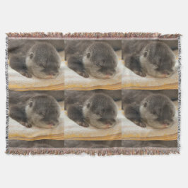 Cobertor Otters Sonolento