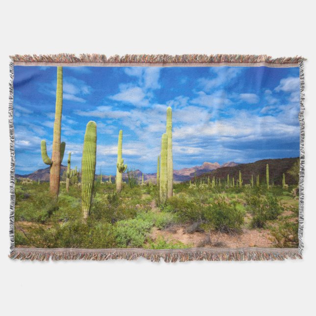 Cobertor Paisagem de cacto do deserto, Arizona (Frente)