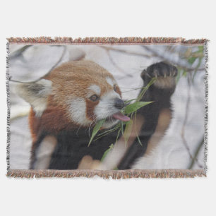 Cobertor Panda Vermelha Fome