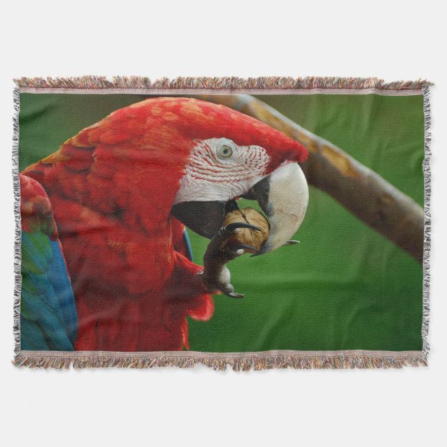 Cobertor Papagaio Vermelho Tropical (Frente)