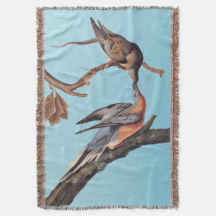 Cobertor Par Audubon de Pigões de Passageiros Beijantes