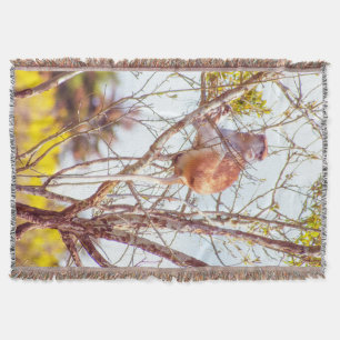 Cobertor Patas é uma árvore