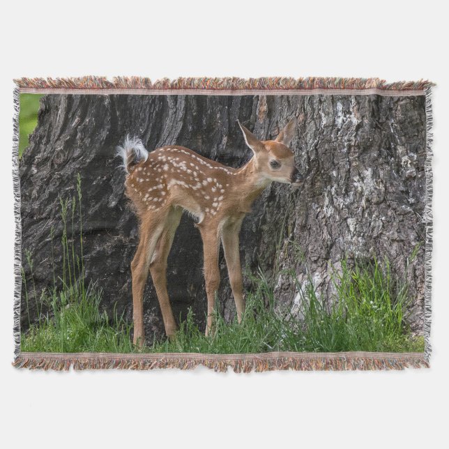 Cobertor Pernas Shaky Fawn (Frente)