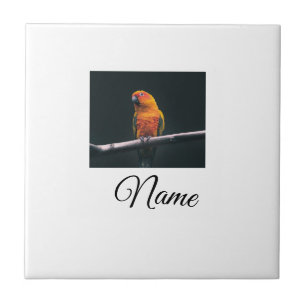 Cobertor personalizado com foto de animal colorido