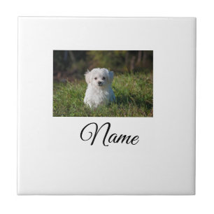 Cobertor personalizado com foto de animal colorido