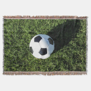 Cobertor Phoenix, Arizona, EUA.