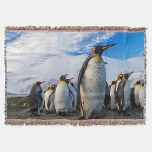 Cobertor Pinguins Marching Blue Sky