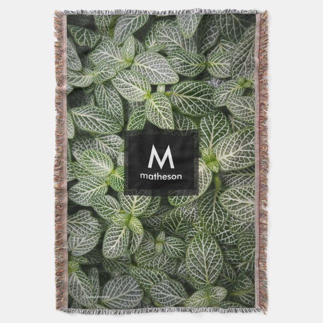 Cobertor Planta Mosaico Fittonia com Folhas Variegadas (Frente Vertical)