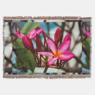 Cobertor Plumeria florescente exótica florescente