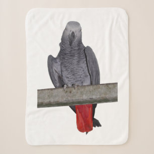 Cobertor Polly Sherpa (escolha a cor)