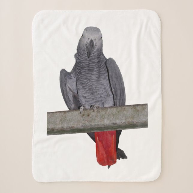Cobertor Polly Sherpa (escolha a cor) (Frente)