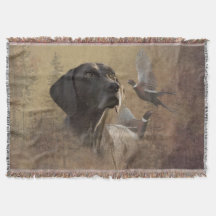 Ponteiro Alemão Curto,Deutsch Kurzhaar