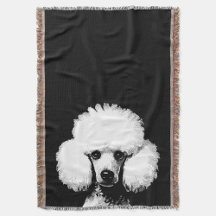 Poodle Retro Chic Pop Art
