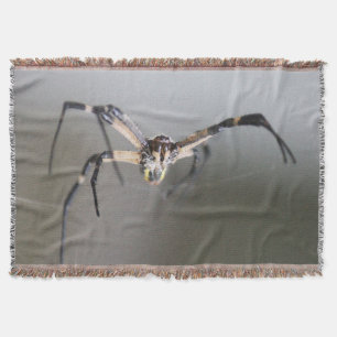Cobertor Presente de Argiope Spider Lover