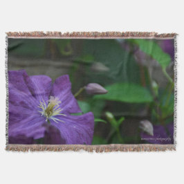 Cobertor Purple Clematis