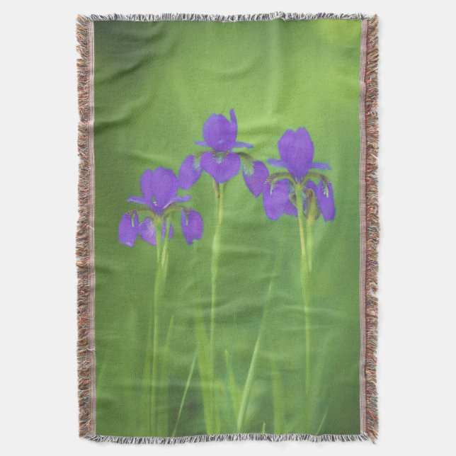Cobertor Púrpura Iris - Arte Flor Original (Frente Vertical)