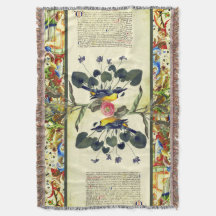 Reflexões Iluminadas