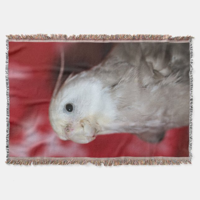 Cobertor Réplicas (Frente)