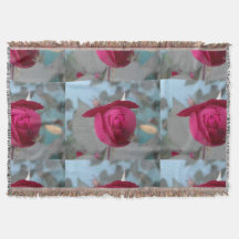 Rosa vermelha romântica