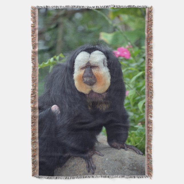 Cobertor Saki Monkey (Frente Vertical)