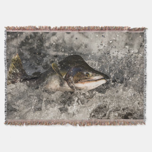 Cobertor Salmão de Salmão (Frente)