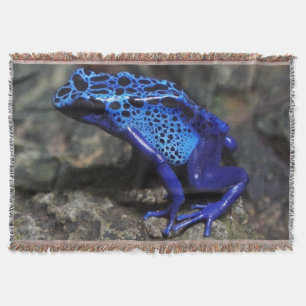 Cobertor Sapo de dardos azuis, Sapo azul brilhante