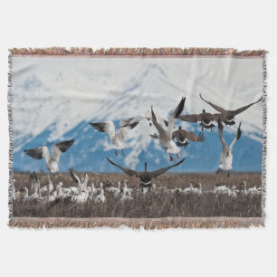 Cobertor Scattering Geese