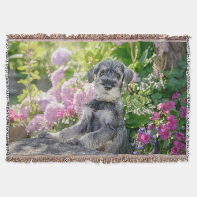 Cobertor Schnauzer Puppy Padrão em Jardim Flor - (Frente)