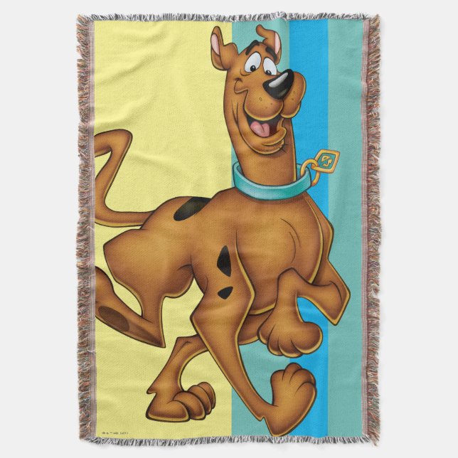 Cobertor Scooby-Doo Happy Walk (Frente Vertical)