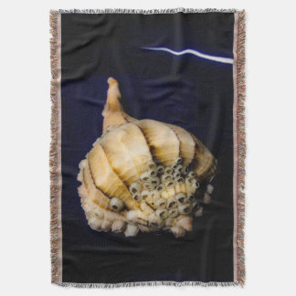 Cobertor Sea Snail Shell com Barnáculos