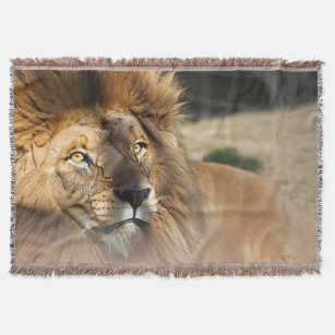 Cobertor Seja Bold Empoderando Lion Snuggle Blanket