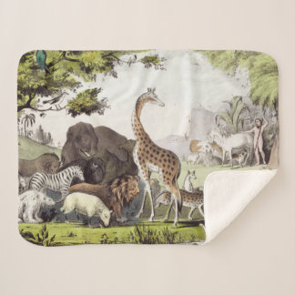 Cobertor Sherpa Adam Nomeia as Criaturas