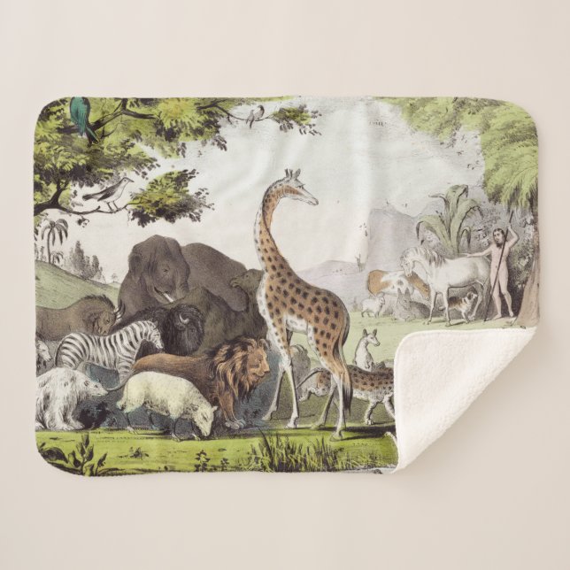 Cobertor Sherpa Adam Nomeia as Criaturas (Frente (Horizontal))