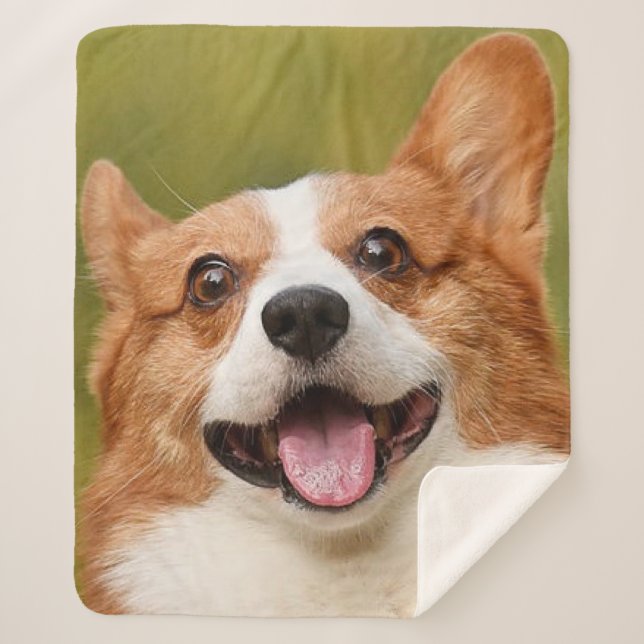 Cobertor Sherpa Adicionar Foto de Cão Personalizada Personalizada (Frente)
