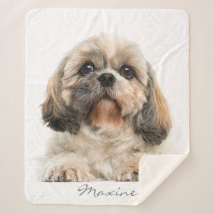 Cobertor Sherpa Adicione Seu Retrato Pet Shih Tzu Dog Personalizad