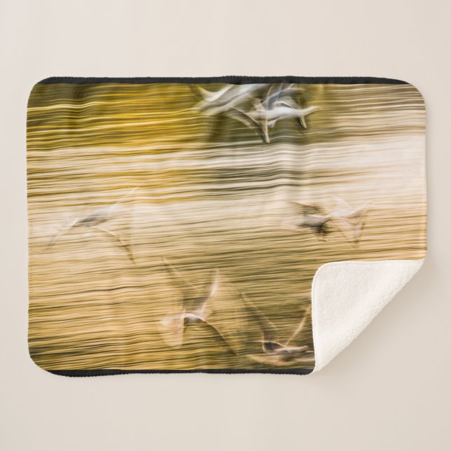 Cobertor Sherpa Agulhas voadoras - abstrato (Frente (Horizontal))