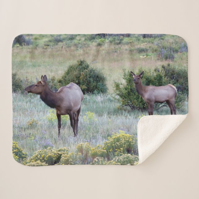 Cobertor Sherpa Alce Americano | Colorado (Frente (Horizontal))