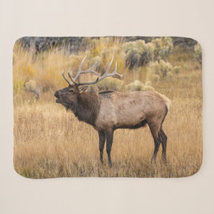 Cobertor Sherpa Alce macho Parque Nacional de Yellowstone