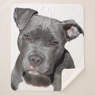 Cobertor Sherpa American Pit Bull Terrier