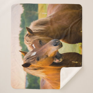 Cobertor Sherpa Amor incondicional