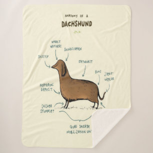 Cobertor Sherpa Anatomia De Um Dachshund  Amantes De Cães Dachshu